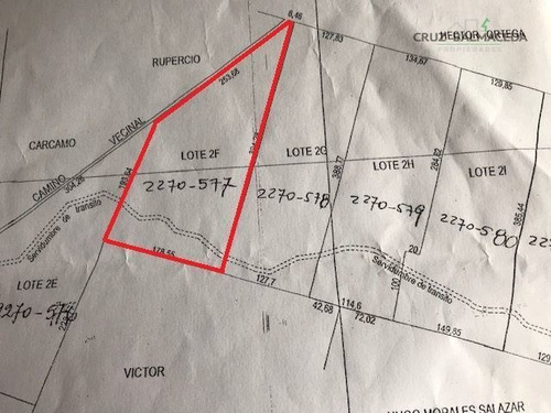 Imagen 3 de 8 de Agrícola En Venta En Puerto Montt
