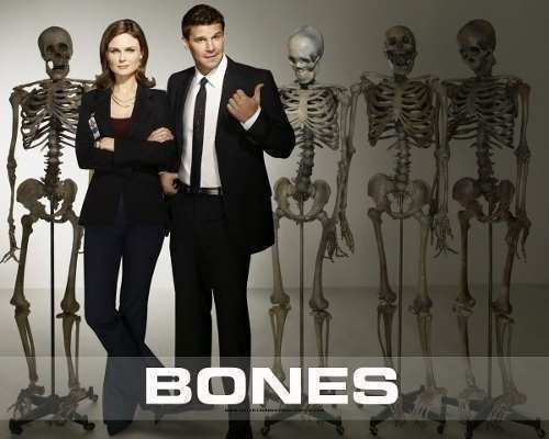Imagem 1 de 1 de Bones (1ª A 12ª Temporada) Dublado + Frete Grátis