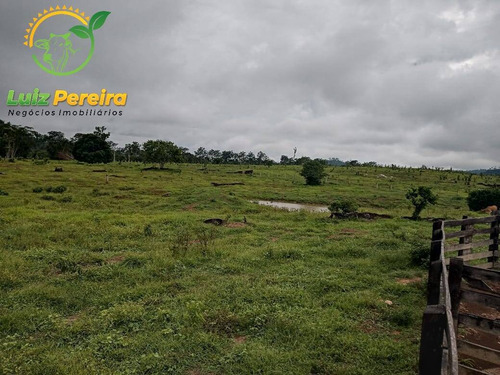 Imagem 5 de 15 de Fazenda À Venda Em Colniza -mt - 629,2 Hectares (dupla Aptidão) - 2108