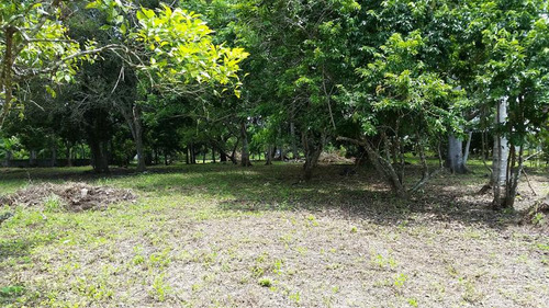 Venta Terreno 4,277 M² Juana Moza Frente Al Rio Tuxpan Veracruz
