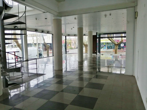 Excelente Local Comercial Sobre Avenida Principal De Colonia