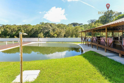 Imagem 16 de 18 de Chácara À Venda, 11734 M² Por R$ 1.200.000,00 - Santa Gema - Colombo/pr - Ch0003