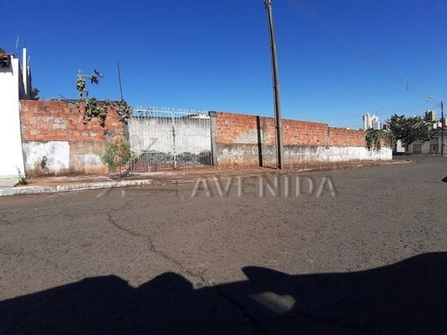 Imagem 5 de 5 de Terreno - California - Ref: 10386 - V-10386