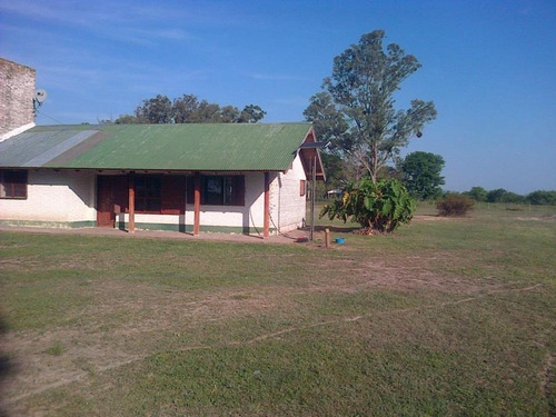 Imagen 11 de 16 de Estancia En Venta (campo Agrícola Ganadero) - La Gallareta, Sta Fe