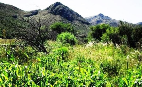 Imagen 8 de 29 de Campo 432 Hectáreas , En Los Cerros, Córdoba. Recibo Pesos.