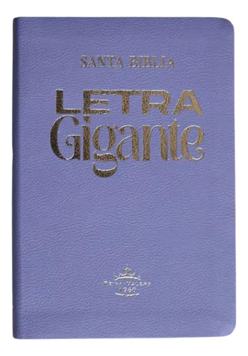 Biblia Rvr 1960 Letra Gigante 14 Pts. Concordancia Lila