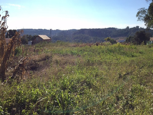 Imagem 4 de 5 de Área Industrial Para Venda Em Garibaldi, Rs, Terreno Para Venda Em Garibaldi Rs, - Ar5041 - 4713908