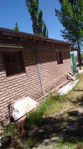 Imagen 7 de 13 de Finca 2ha+casa Excelente Ubicación, A 10min De Gral Alvear