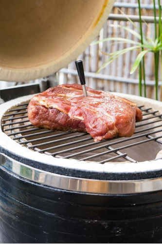 Imagen 6 de 10 de Combo Baja Temp Nano Parrilla Segundo Nivel Termometro Kb10