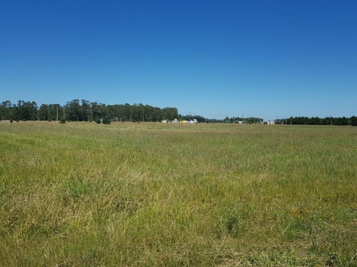 Imagen 3 de 5 de Terreno En Venta En Paraje Chacras De Atlantida