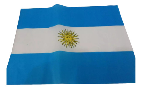 Bandeira Argentina 30x19cm Festas Decoração Jogos Fantasia