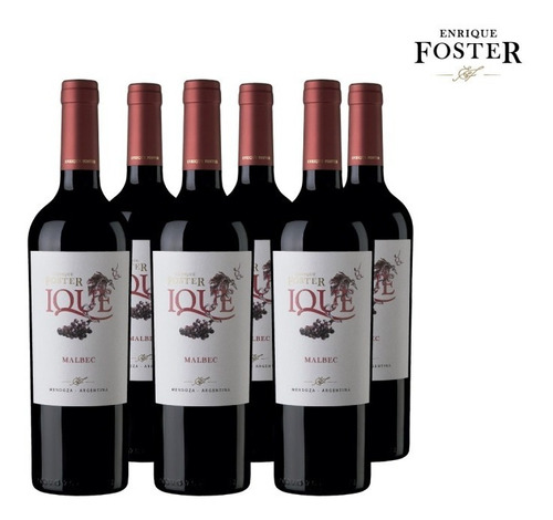 Ique Malbec Bodega Enrique Foster Solo Envios