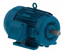 Comprar Motor Elétrico Weg 0,25cv 4 Polos 1800 Rpm 220\u002F380v W22 Ir3