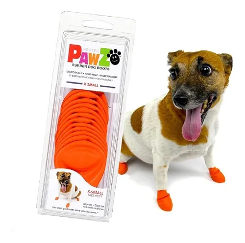 Sapatinho para cachorro mercado best sale livre