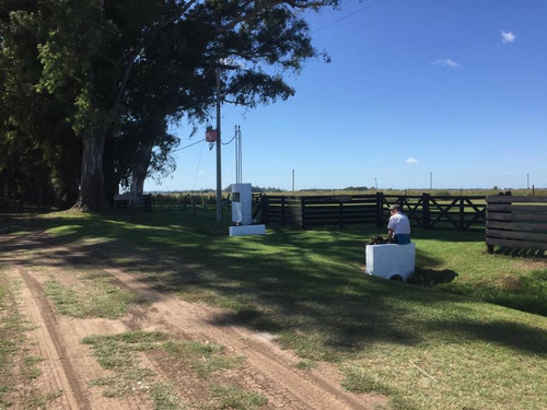 Imagen 12 de 30 de Campo En San Andres De Giles