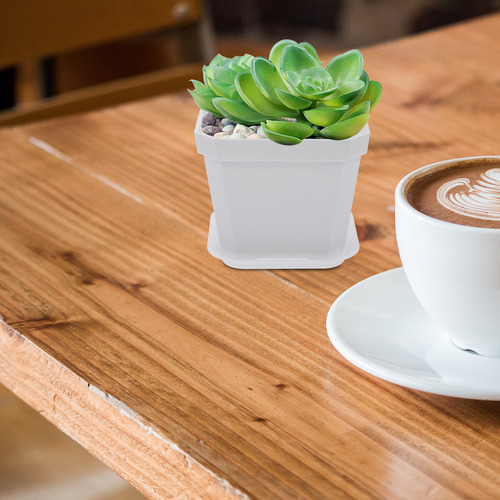 Vaso De Flores Para Mudas Ao Ar Livre, 10 Unidades