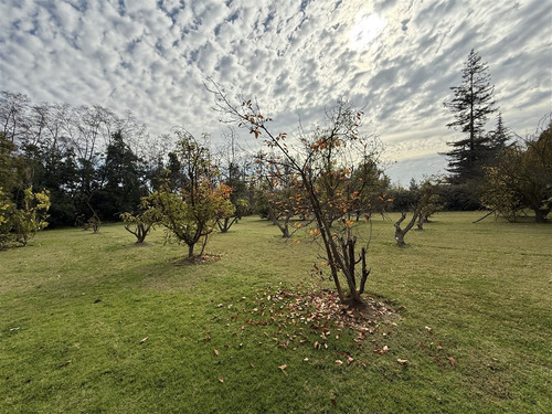 Casa En Venta De 3 Dorm. En Calera De Tango. Camino Lonquen