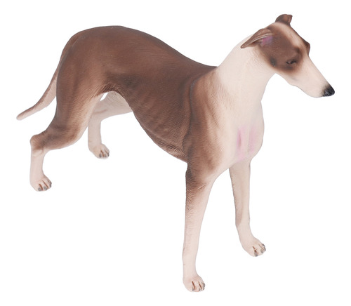 Figura Modelo De Cachorro Greyhound Dog Pet Science Educatio