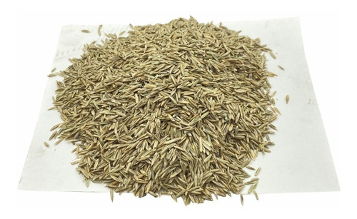 Semilla De Pasto Mezcla Germinaplus Clima Templado 10k 400m2