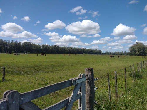 Campo En Venta Sobre Ruta 6, Marcos Paz