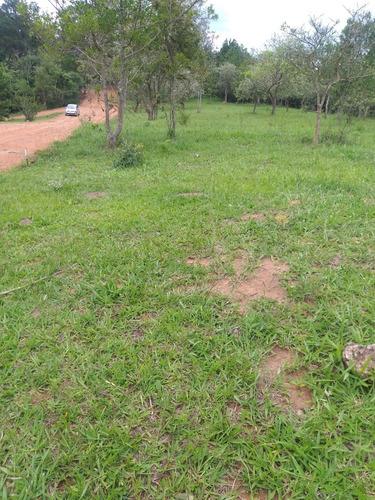 Imagem 5 de 8 de #v#h11 - Lotes Bons E Baratos