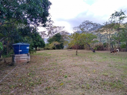 Imagem 23 de 23 de Campo Grande, Rio Da Prata, Lindo Sitio, Casa Principal Com 4 Quartos + Casa De Caseiro, 7330m², Documentaçao Ok - St00022 - 70996126