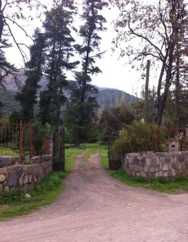 Melocotón, San Jose De Maipo.