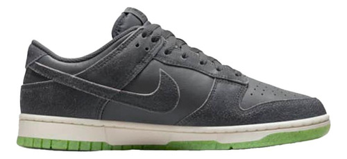 Championes Nike Dunk Low Retro Prm