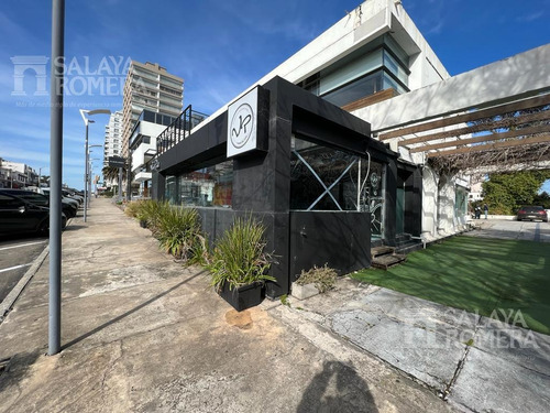 Imagen 8 de 11 de Alquiler Anual- Amplio Local- Peninsula- Ref: 4494990