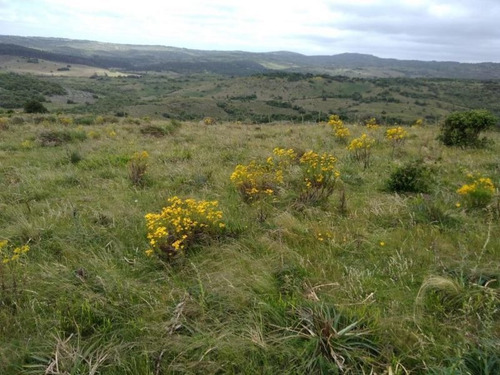 Campo En Venta