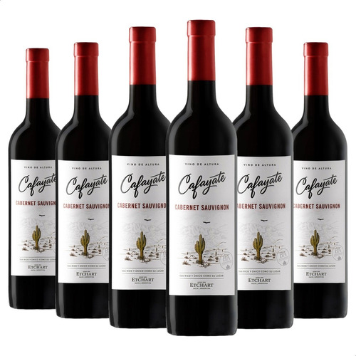 Vino Cafayate Cabernet Sauvignon Etchart 750ml X6 Unidades