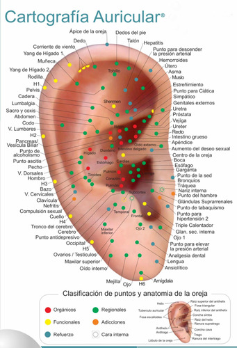 Paquete De Posters Para Auriculoterapia