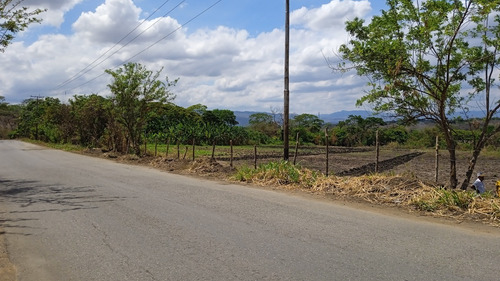 Imagen 5 de 14 de ¡venta! Lote De Terreno En Cúa