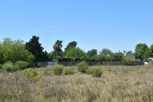 Lotes En Venta En San Carlos, La Plata