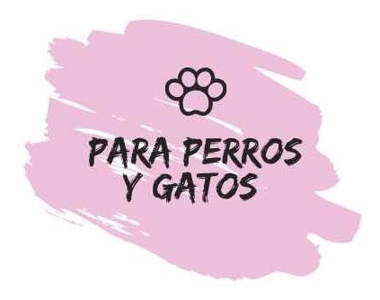 Comedero Doble Perros/gatos Antideslizante Traslúcido