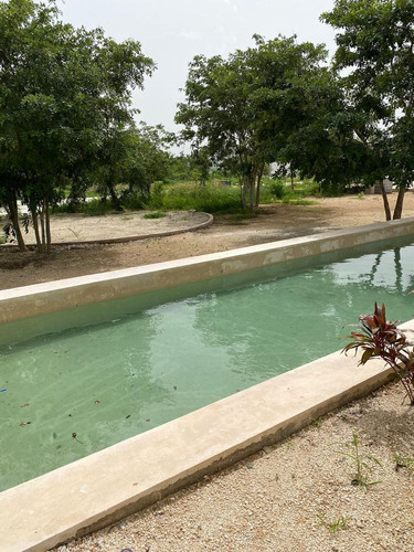 Imagen 7 de 13 de Terreno En Venta Privada Kinish Tixcuytun, Mérida Yucatán