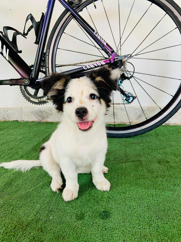 Bicicleta De Ruta