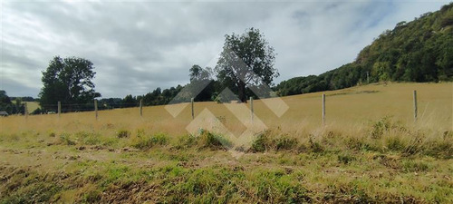 Sitio - 5.000 M2 Cada Uno - Cascadas - Puerto Octay