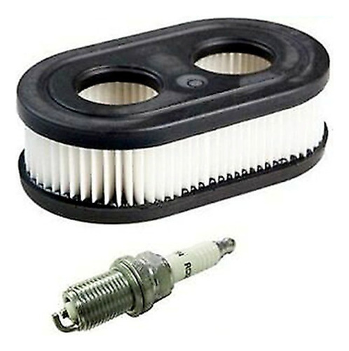 Filtro De Aire Spark For Briggs & Stratton 798452 593260 42