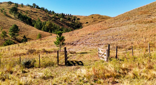 Magnificas Fracciones De Campo De 3 Ha. Con Costa De Arroyo Y Bajada Al Río. San Miguel De Los Rios. Yacanto De Calamuchita