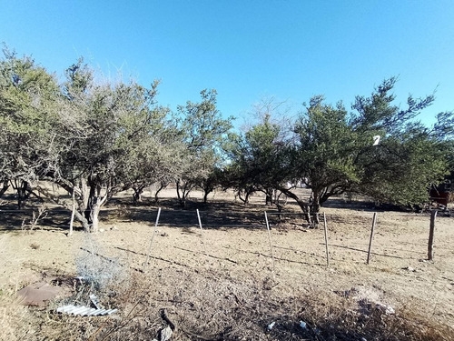 Imagen 2 de 5 de T42 - Terreno De 1600 M2 En Barrio Progreso En Mina Clavero