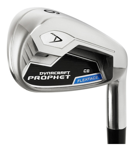 Set Palo Golf Hierros Dynacraft Prophet Cb #5 A Medida