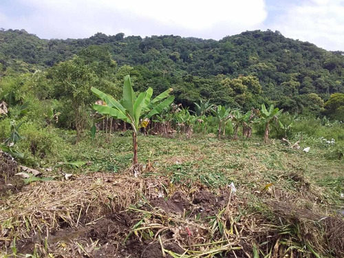 Imagem 3 de 5 de Terreno Na Praia Em Mongaguá Área De Chácara Ref.468