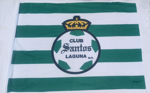 Bandera Oficial De Los Guerreros Del Santos Laguna | Meses sin intereses