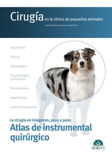 Cirugia En La Clinica De Pequeãâos Animales Atlas Instruccio, De Rodriguez Gomez,jose. Editorial Servet, Tapa Dura En Español