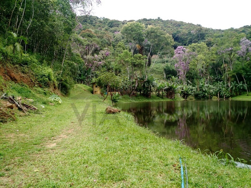 Imagem 17 de 30 de Sítio À Venda Em Juquitiba, Com Estrutura Reversível Para Pesqueiro. - 106 - 34341139