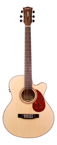      Violao Eletro-acustico Waldman Fcex-340