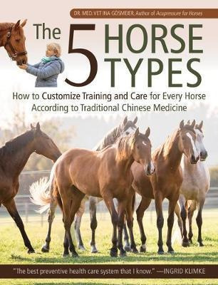 The 5 Horse Types : Traditional Chinese Medicine For Trai...