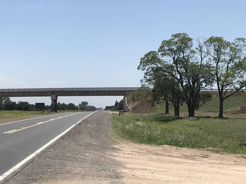 Oportunidad Única Venta De Campo Sobre Ruta Nacional 8 - Duggan, San Antonio De Areco - Mallmann Pro