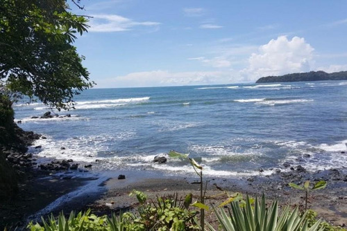 Imagen 7 de 14 de Venta De Terreno De 4,7 Has Santa Catalina Veraguas 20-5186